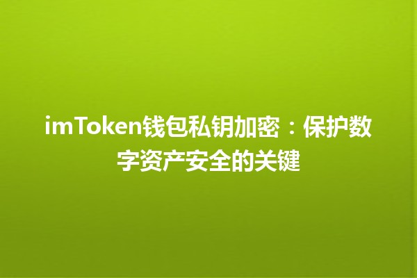 imToken钱包私钥加密：保护数字资产安全的关键🛡️